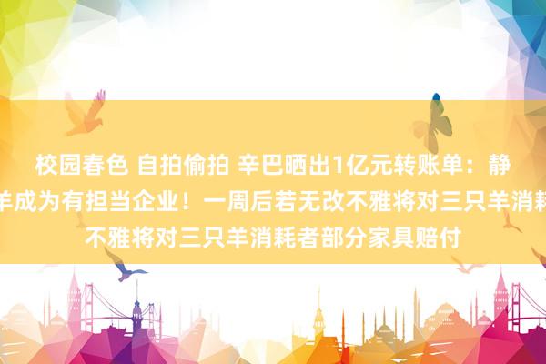 校园春色 自拍偷拍 辛巴晒出1亿元转账单：静待小杨哥的三只羊成为有担当企业！一周后若无改不雅将对三只羊消耗者部分家具赔付