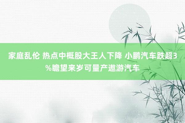 家庭乱伦 热点中概股大王人下降 小鹏汽车跌超3%瞻望来岁可量产遨游汽车