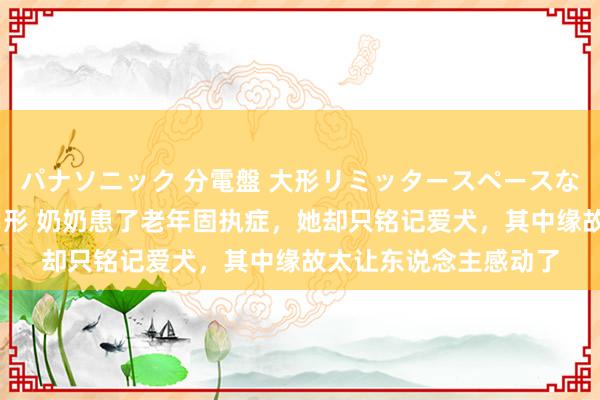 パナソニック 分電盤 大形リミッタースペースなし 露出・半埋込両用形 奶奶患了老年固执症，她却只铭记爱犬，其中缘故太让东说念主感动了