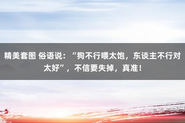 精美套图 俗语说：“狗不行喂太饱，东谈主不行对太好”，不信要失掉，真准！