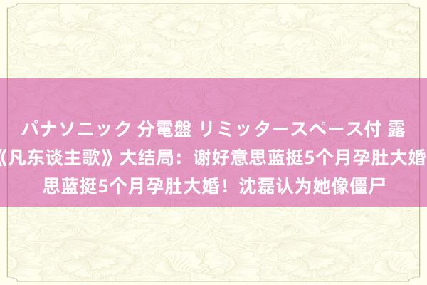 パナソニック 分電盤 リミッタースペース付 露出・半埋込両用形 《凡东谈主歌》大结局：谢好意思蓝挺5个月孕肚大婚！沈磊认为她像僵尸