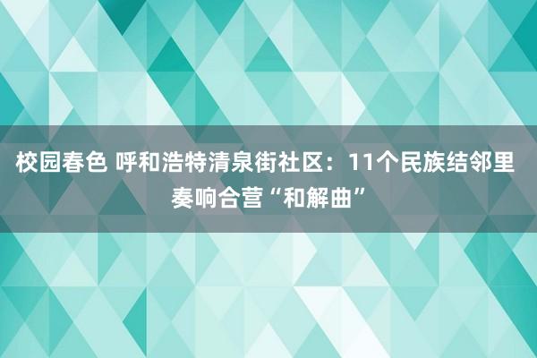 校园春色 呼和浩特清泉街社区：11个民族结邻里 奏响合营“和解曲”