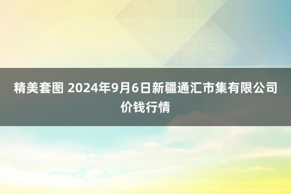 精美套图 2024年9月6日新疆通汇市集有限公司价钱行情