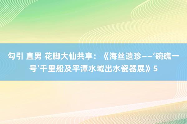 勾引 直男 花脚大仙共享：《海丝遗珍——‘碗礁一号’千里船及平潭水域出水瓷器展》5