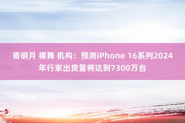 寄明月 裸舞 机构：预测iPhone 16系列2024年行家出货量将达到7300万台