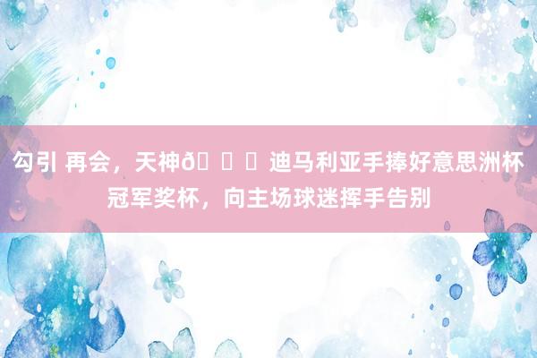 勾引 再会，天神👋迪马利亚手捧好意思洲杯冠军奖杯，向主场球迷挥手告别