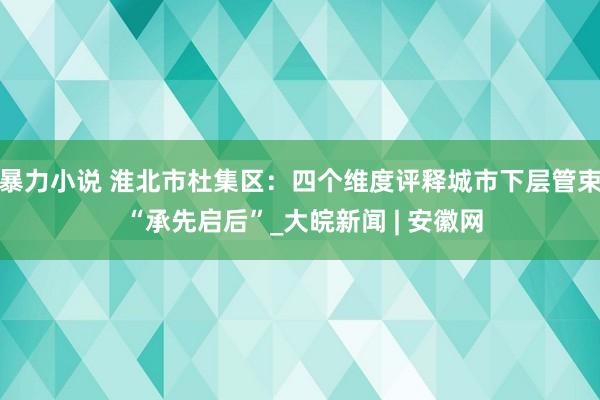 暴力小说 淮北市杜集区：四个维度评释城市下层管束 “承先启后”_大皖新闻 | 安徽网