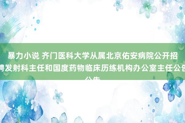 暴力小说 齐门医科大学从属北京佑安病院公开招聘发射科主任和国度药物临床历练机构办公室主任公告