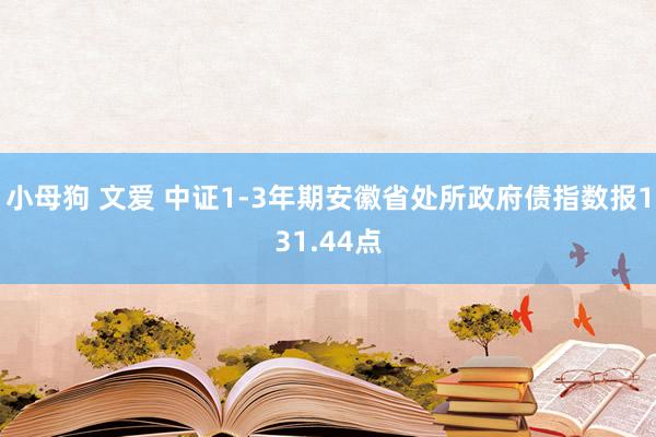 小母狗 文爱 中证1-3年期安徽省处所政府债指数报131.44点