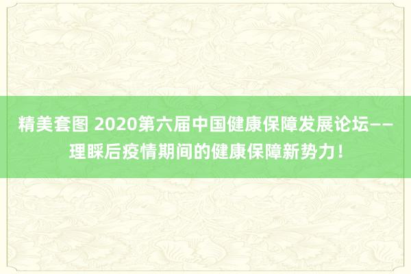 精美套图 2020第六届中国健康保障发展论坛——理睬后疫情期间的健康保障新势力！