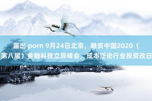 露出 porn 9月24日北京，融资中国2020（第八届）金融科技立异峰会，成本泛论行业投资改日