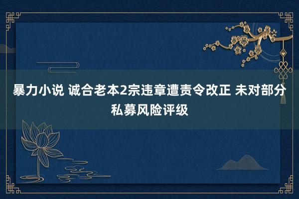 暴力小说 诚合老本2宗违章遭责令改正 未对部分私募风险评级