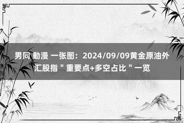 男同 動漫 一张图：2024/09/09黄金原油外汇股指＂重要点+多空占比＂一览