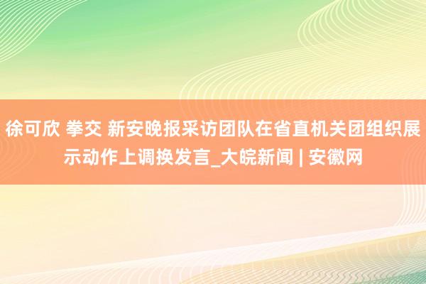 徐可欣 拳交 新安晚报采访团队在省直机关团组织展示动作上调换发言_大皖新闻 | 安徽网