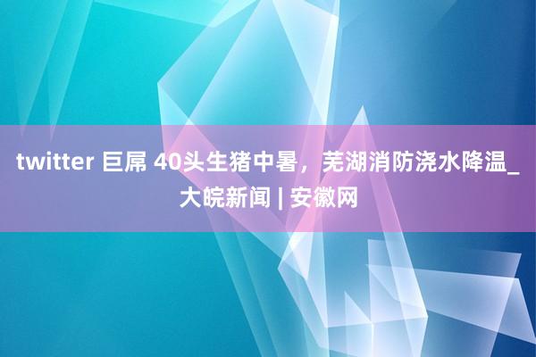 twitter 巨屌 40头生猪中暑，芜湖消防浇水降温_大皖新闻 | 安徽网