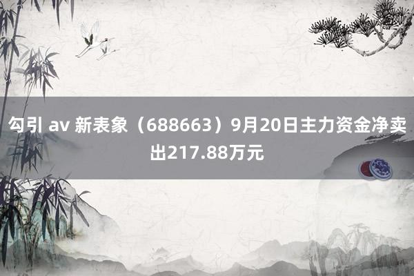 勾引 av 新表象（688663）9月20日主力资金净卖出217.88万元