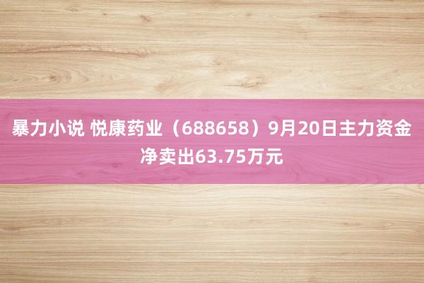 暴力小说 悦康药业（688658）9月20日主力资金净卖出63.75万元