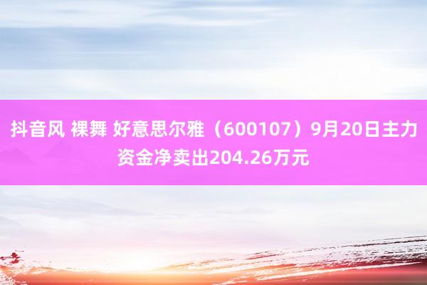 抖音风 裸舞 好意思尔雅（600107）9月20日主力资金净卖出204.26万元