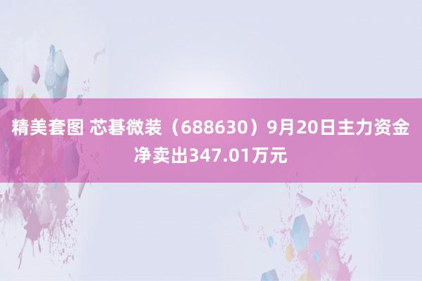 精美套图 芯碁微装（688630）9月20日主力资金净卖出347.01万元