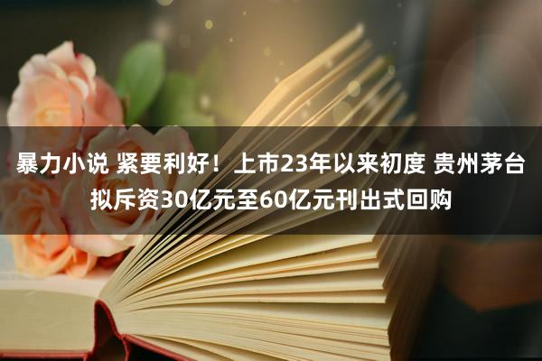 暴力小说 紧要利好！上市23年以来初度 贵州茅台拟斥资30亿元至60亿元刊出式回购