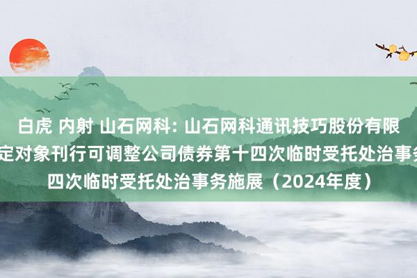 白虎 内射 山石网科: 山石网科通讯技巧股份有限公司2022年向不特定对象刊行可调整公司债券第十四次临时受托处治事务施展（2024年度）