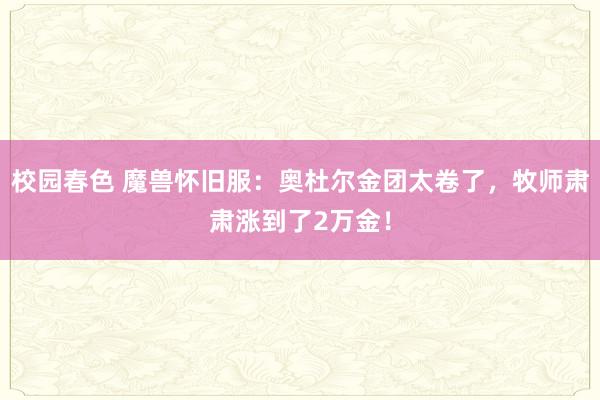 校园春色 魔兽怀旧服：奥杜尔金团太卷了，牧师肃肃涨到了2万金！