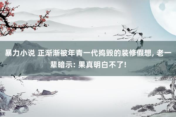 暴力小说 正渐渐被年青一代捣毁的装修假想， 老一辈暗示: 果真明白不了!