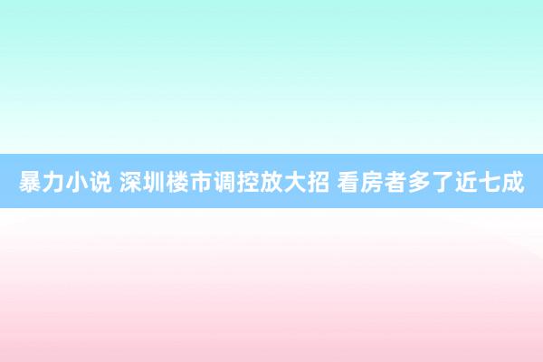 暴力小说 深圳楼市调控放大招 看房者多了近七成