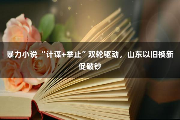 暴力小说 “计谋+举止”双轮驱动，山东以旧换新促破钞