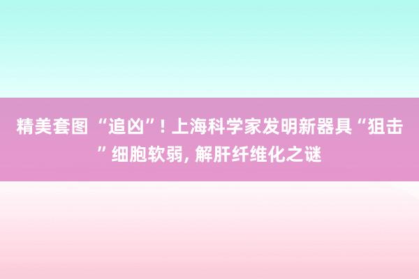 精美套图 “追凶”! 上海科学家发明新器具“狙击”细胞软弱， 解肝纤维化之谜