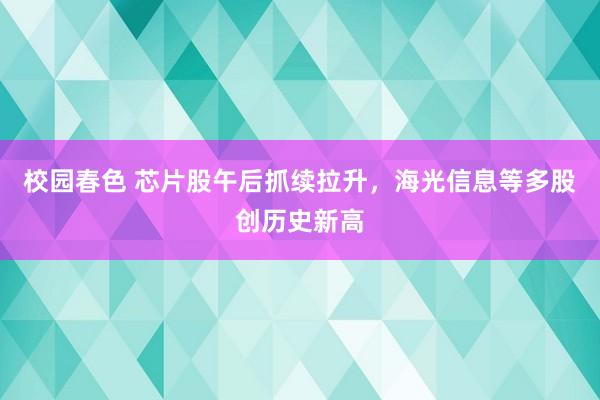 校园春色 芯片股午后抓续拉升，海光信息等多股创历史新高