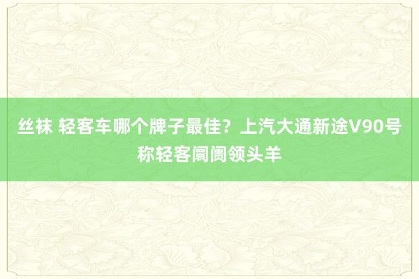 丝袜 轻客车哪个牌子最佳？上汽大通新途V90号称轻客阛阓领头羊