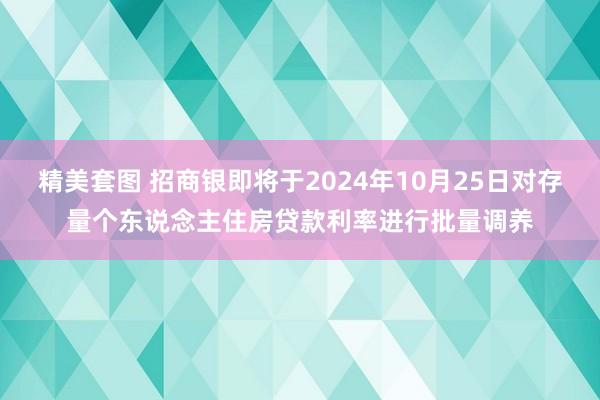 精美套图 招商银即将于2024年10月25日对存量个东说念主住房贷款利率进行批量调养