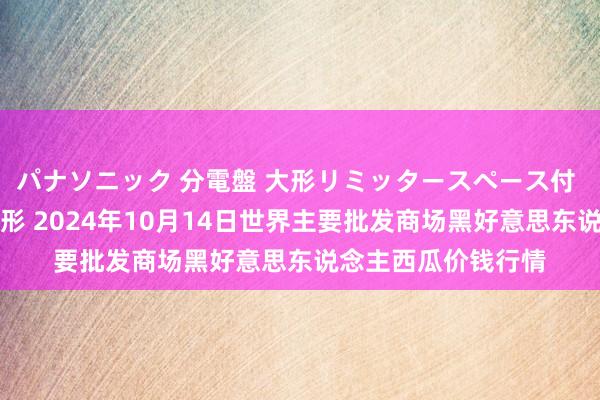 パナソニック 分電盤 大形リミッタースペース付 露出・半埋込両用形 2024年10月14日世界主要批发商场黑好意思东说念主西瓜价钱行情