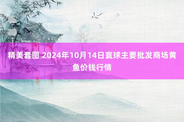 精美套图 2024年10月14日寰球主要批发商场黄鱼价钱行情