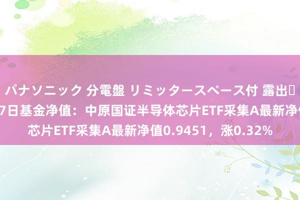 パナソニック 分電盤 リミッタースペース付 露出・半埋込両用形 10月17日基金净值：中原国证半导体芯片ETF采集A最新净值0.9451，涨0.32%