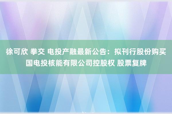 徐可欣 拳交 电投产融最新公告：拟刊行股份购买国电投核能有限公司控股权 股票复牌