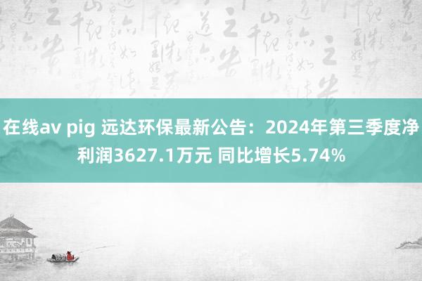 在线av pig 远达环保最新公告：2024年第三季度净利润3627.1万元 同比增长5.74%