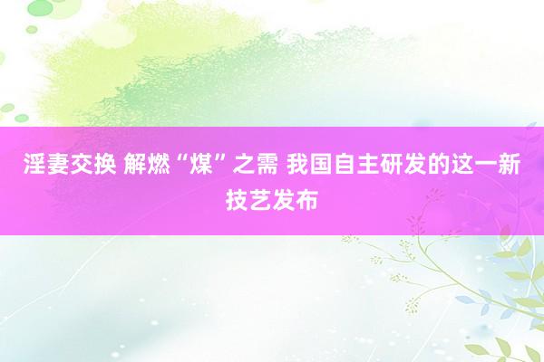 淫妻交换 解燃“煤”之需 我国自主研发的这一新技艺发布