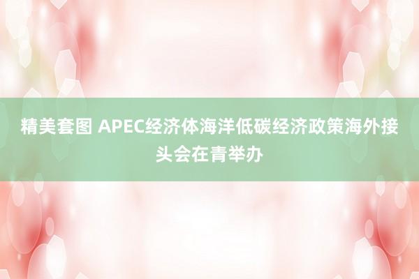 精美套图 APEC经济体海洋低碳经济政策海外接头会在青举办