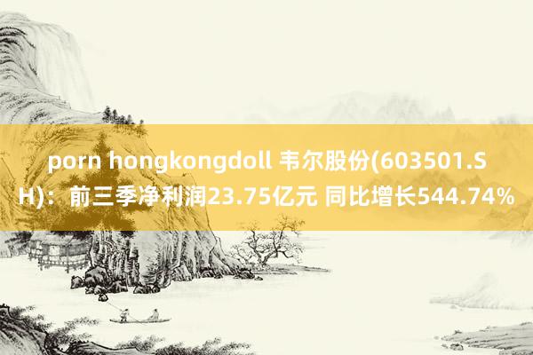 porn hongkongdoll 韦尔股份(603501.SH)：前三季净利润23.75亿元 同比增长544.74%