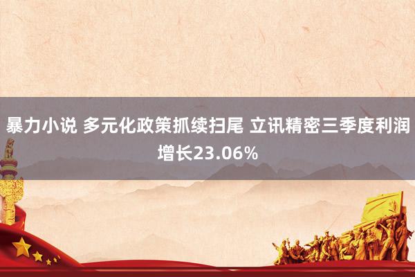 暴力小说 多元化政策抓续扫尾 立讯精密三季度利润增长23.06%