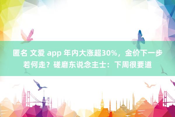 匿名 文爱 app 年内大涨超30%，金价下一步若何走？磋磨东说念主士：下周很要道