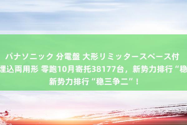 パナソニック 分電盤 大形リミッタースペース付 露出・半埋込両用形 零跑10月寄托38177台，新势力排行“稳三争二”！