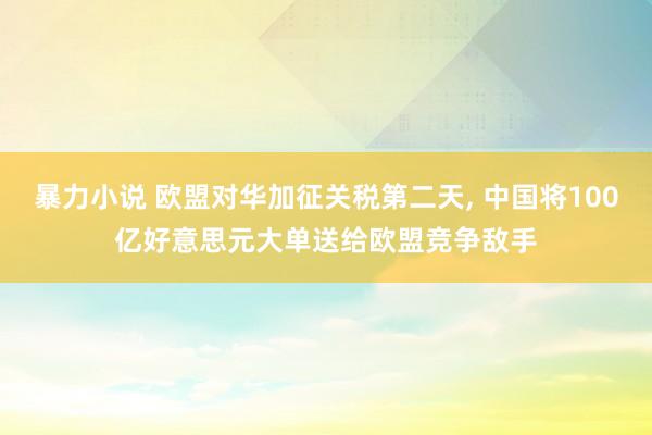 暴力小说 欧盟对华加征关税第二天， 中国将100亿好意思元大单送给欧盟竞争敌手