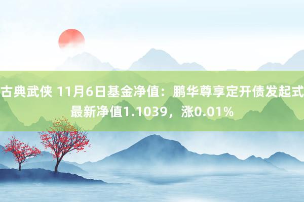 古典武侠 11月6日基金净值：鹏华尊享定开债发起式最新净值1.1039，涨0.01%