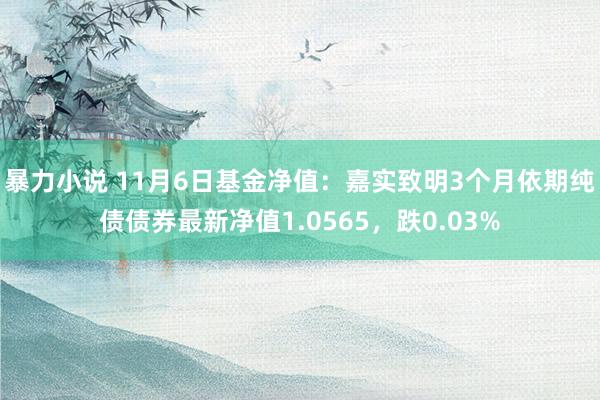 暴力小说 11月6日基金净值：嘉实致明3个月依期纯债债券最新净值1.0565，跌0.03%