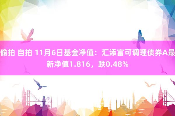 偷拍 自拍 11月6日基金净值：汇添富可调理债券A最新净值1.816，跌0.48%