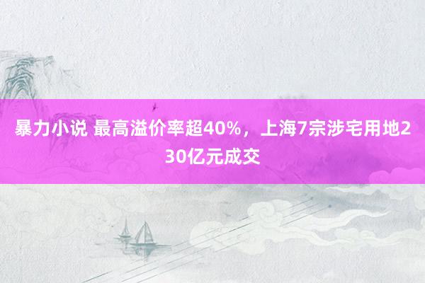 暴力小说 最高溢价率超40%，上海7宗涉宅用地230亿元成交