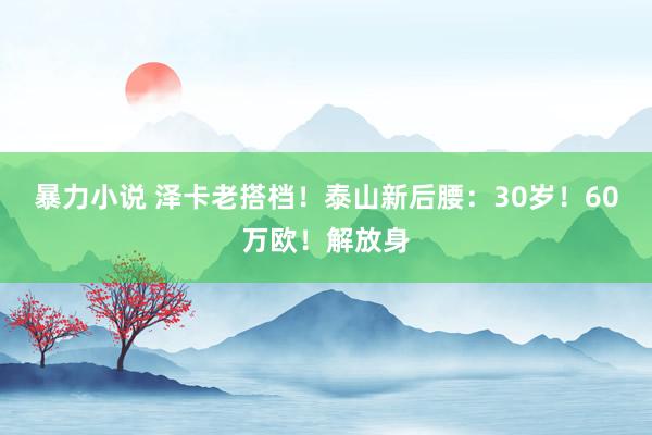 暴力小说 泽卡老搭档！泰山新后腰：30岁！60万欧！解放身